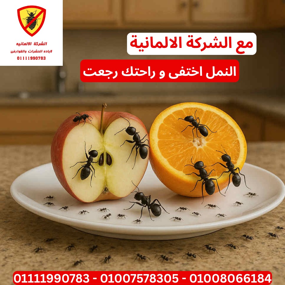 مكافحة الحشرات العامة
