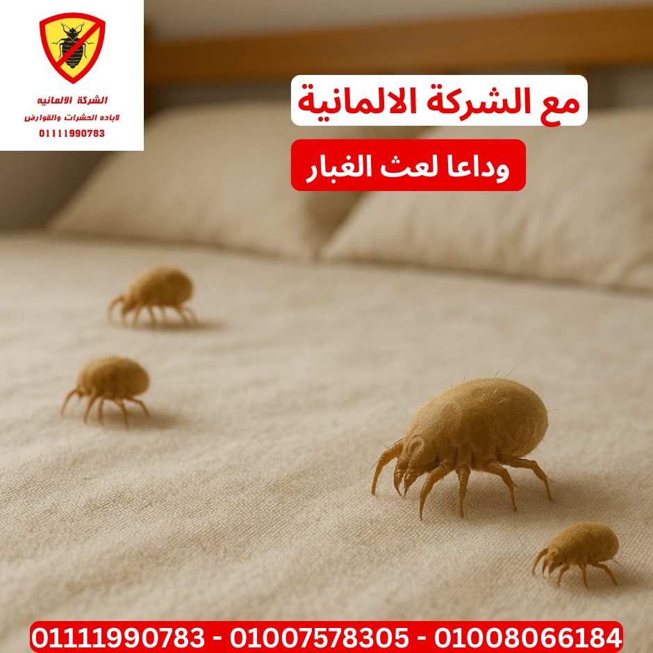 مكافحة النمل الأبيض