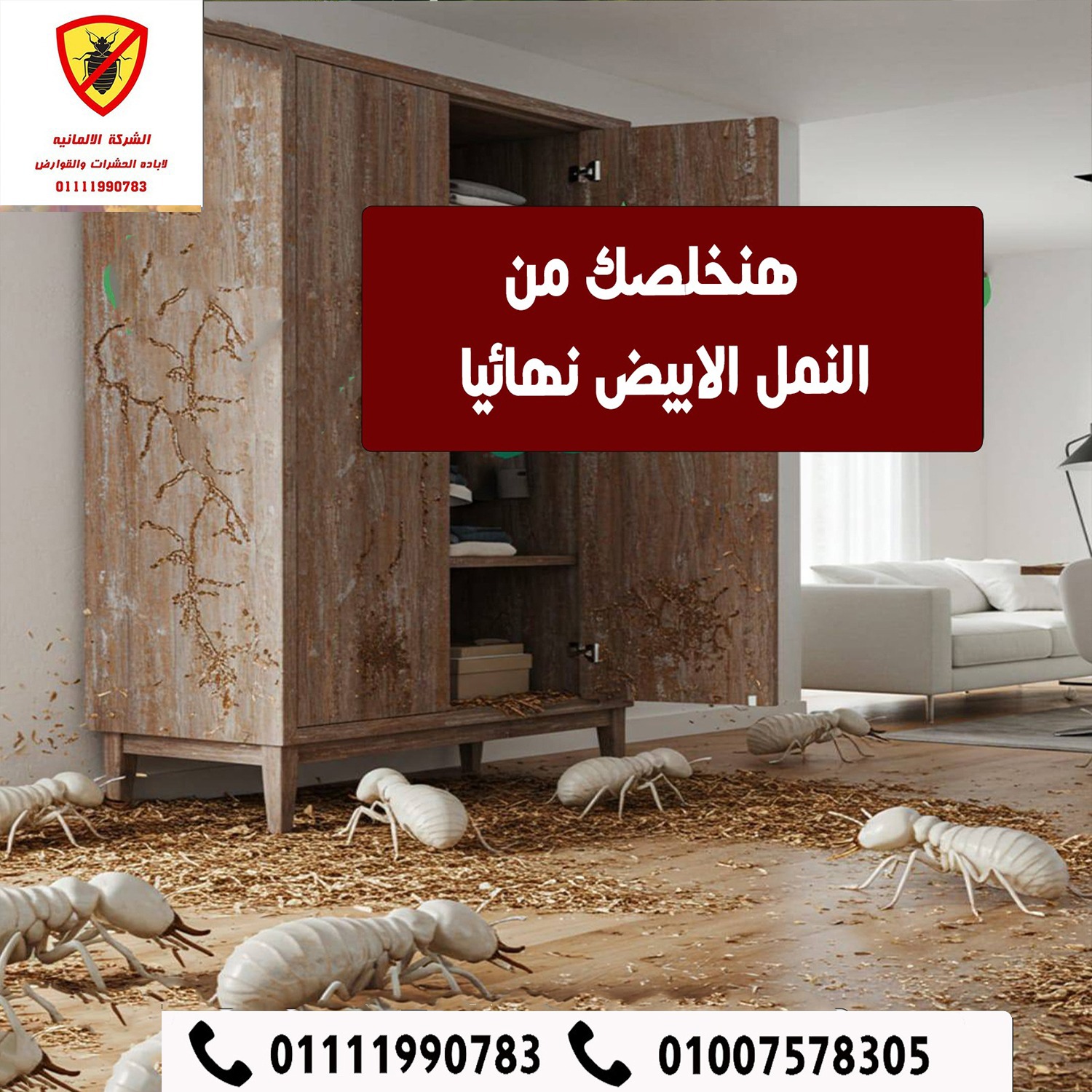 مكافحة النمل الأبيض